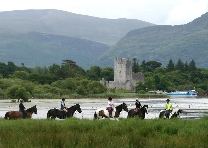 住宿加早餐酒店 考博尔凯特尔b＆b住宿加早餐酒店 3*
